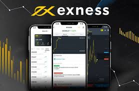 Solutions For Exness Withdrawal Issues 0