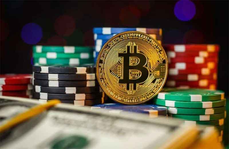 Beginner’s Guide to Sports Betting Understanding the Essentials
