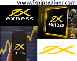 Comprehensive Guide to Exness Trading Platform