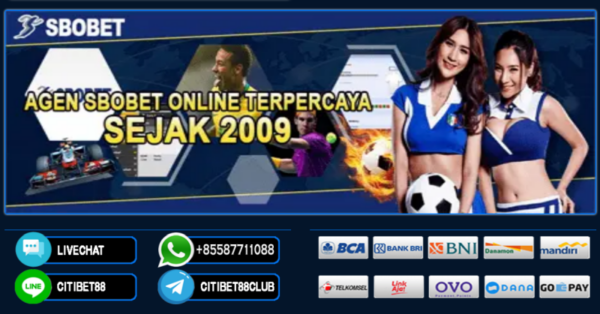 Judi Terbaik Panduan Lengkap untuk Pemain