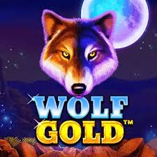 매혹적인 세계로 초대하는 Wolf Gold Slot
